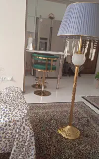 آباژور کنارسالنی