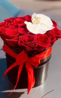 استخدام اقا یا خانوم