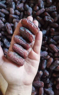 خرمای تازه