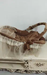 کریر پرنسسی