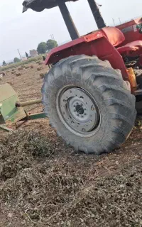 علف بادام زمینی