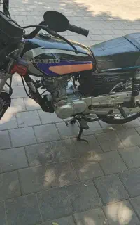 رهرو ۱۴۰۳