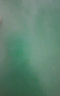 مدارک پیدا شده به نام شاهد علی