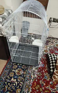 قفس پرنده