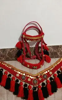 انواع سینه بند ست وتکی