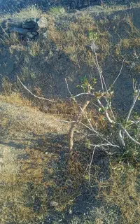 راهنمایی پنل خورشیدی
