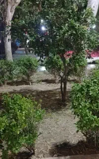 کار کشاورزی
