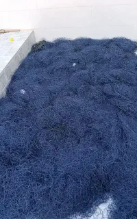 تور ماهیگیری شیر