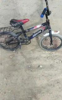 دورچه