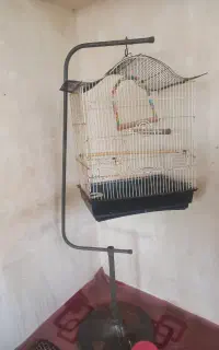 قفس پایه داربزرگ