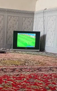 تلوزیون