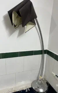 آباژور ایستاده سالم