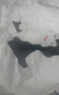 زیر انداز و پتو نوزاد