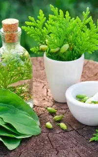 جویای کار