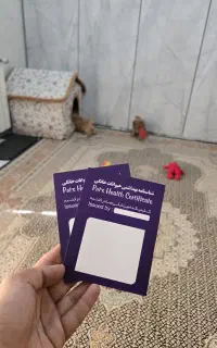 توی پودل جنسیت ماده