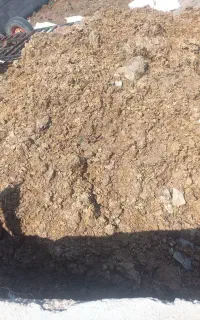 کود پهن حیوانی گاوی (سیل، ماییز)