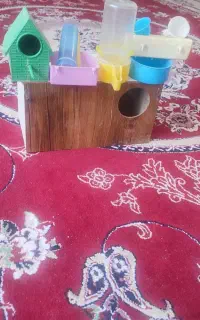 عروس هلندی