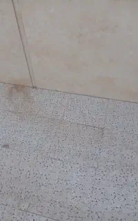 بنابی