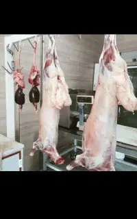 قصاب ماه