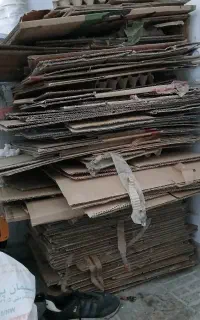 کارتن