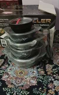 سرویس دیگ چودن