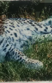 تابلو فرش دستباف