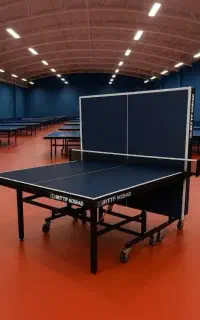 میز پینگ پنگ حرفه ای تاشو ۸ چرخ باترفلای نوشاد DHS