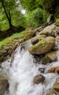 تور یک روزه