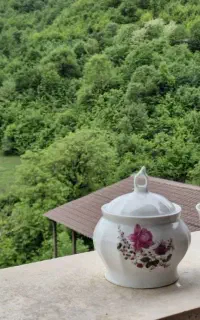 اجاره ویلا ییلاقی وجنگلی تلار ماهیان