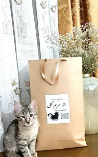 دو عدد بچه گربه 4ماهه اروم و مهربون