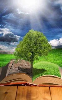 کتاب مذهبی قرآنی و شفا