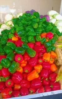 شاگرد میوه فروشی