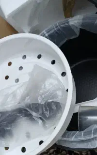 پلوپز