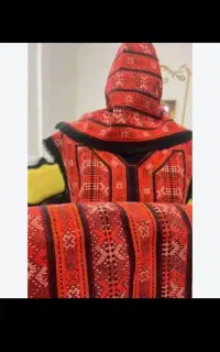 زی استین