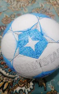 توپ سالنی