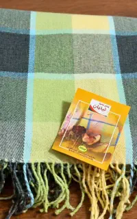 پتو مسافرتی یکنفره