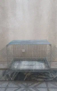 قفس غلامی پژاوند