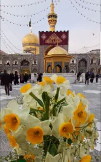 سفر به شاه خراسان نورلرضا
