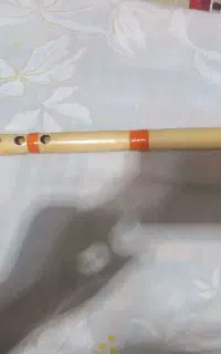 نی خوش صدا