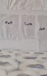 ظروف یکبار مصرف