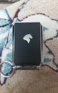 ریموت ریرا