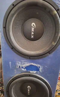 ساب دوقلو