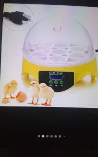 سلام متن چک شود