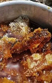 عسل 100٪ ارگانیک همراه با برگه آزمایش