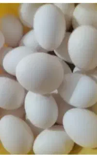 تخم مرغ فروشی دونه ۲۰ تمن