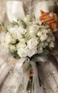 آتلیه تخصصی عروس شرایط پرداخت ویژه