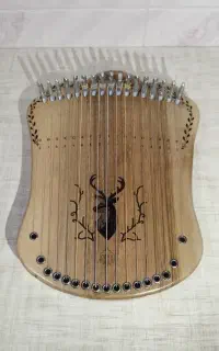 ساز موسیقی هارپیکا