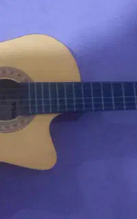 گیتار نو بدون استفاده