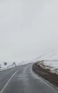 همکاری و استخدام دنبال کارم