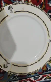 پلوخوری